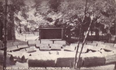 Redwood Park vintage early 1900s postcard
