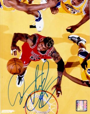 Dennis Rodman autographed Chicago Bulls 8x10 photo