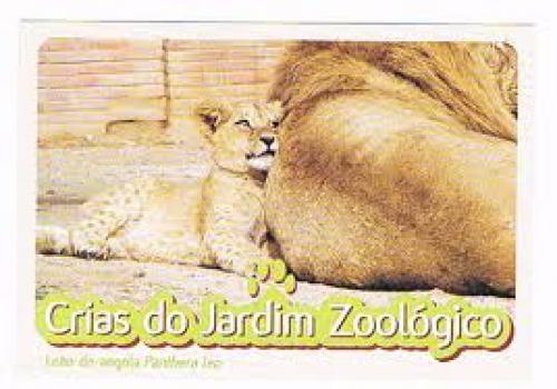 Postcard from Portugal - Lisbon Zoo