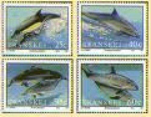 Dolphins Stamps  