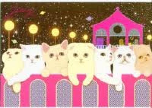 Thumbnail of Korea Jetoy Choo Choo Cat Postcard