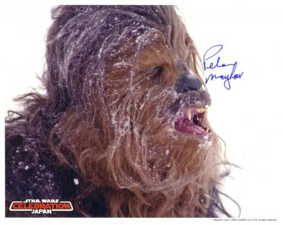 Peter Mayhew autographed Chewbacca 8x10 Star Wars photo