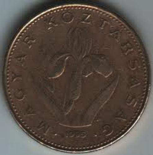 Coins; Hungary 20 Forint 1995; Front image